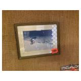 Lone Wolf Framed Print