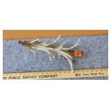 Antler Tree