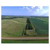 160 +/- Acres Gregory County, SD Land