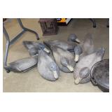 Duck Decoys