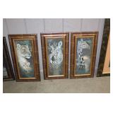 Wildlife Pictures
