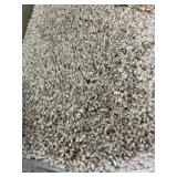12 x 46.5 Beige Carpet x 557Sq Ft