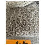 12 x 40.4 Plush Carpet x 483Sq Ft