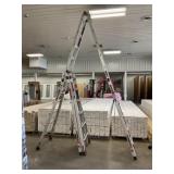 Little Giant Model 26 Aluminum Ladder
