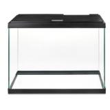 20 Gallon Glass Aquarium/Terrarium x20