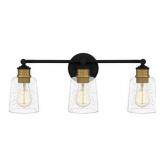 Ashley 3-Bulb Vanity Light in Black