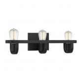 Ashley 3-Bulb Vanity Light in Black