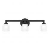 Ashley 3-Bulb Vanity Light in Black x 2
