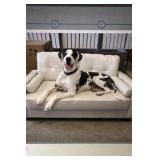 52' Beige Mid Century Modern Loveseat/Dog Bed