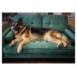 52' Green Mid Century Modern Loveseat/Dog Bed