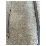 12 x 37.6 Plush Carpet Roll in Cream x 450SF