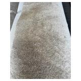 12 x 60 Plush Cream Carpet x 720SF