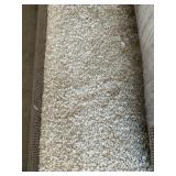 12 x 37.6 Plush Carpet Roll in Cream x 450SF