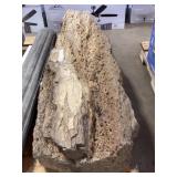Petrified Wood Log