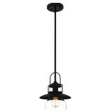 Ashley 1-Bulb Pendant Light in Black x 2