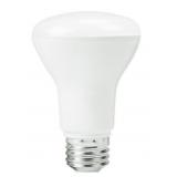 Case Of 40w LED Floodlight Bulbs