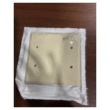 Box of (25) 2-Gang Blank Wall Plates