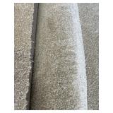 12 x 15 Plush Carpet Roll in Cream x 180SF