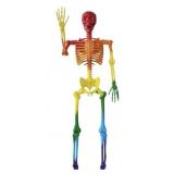 Joyn 5.6ft Halloween Rainbow Skeleton