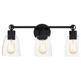 Quoizelï¿½ Seaton 3-Bulb Vanity Light in Black