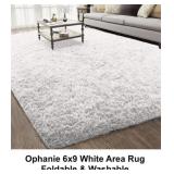 Ophanie 6 x 9 White Area Rug