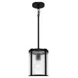 Ashley 1-Bulb Pendant in Black x 2