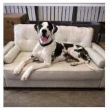 52" Beige Dog Bed Sofa