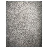 12 x 14 Plush Carpet Roll in Platinum Gray x 168SF