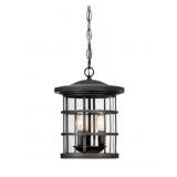Quoizelï¿½ 3-Bulb Pendant Light in Bronze x 2