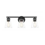 Ashley 3-Bulb Vanity Light in Black x 2
