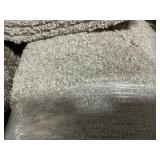 12 x 37.6 Plush Carpet in Platinum Gray x 450SF