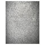12 x 19 Plush Carpet Roll in Light Beige x 228SF