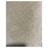 12 x 17 Plush Carpet Roll in Ivory x 204