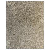 12 x 26 Plush Carpet in Tan x 312SF