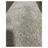 12 x 26 Plush Carpet in Platinum Gray x 312