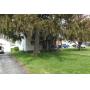 Carr Real Estate Auction- Tue., June 27th at 6pm