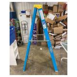 Warner Step Ladder 6'