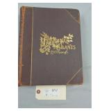 Antique Medicinal Plants by Millspaugh Vol. 1 of 2