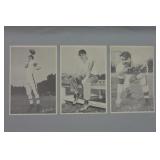 Cleveland Browns Team Picture Pack Pics 1950's