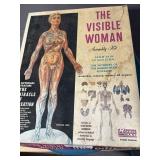 Vintage The Visible Incredible Woman