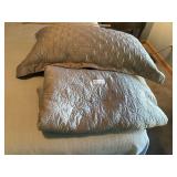 Comforter w Pillow