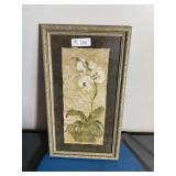 Phalaenopsis by Cheri Blum Framed Print 12"x22"