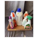 Assorted Household Cleaning Products and Insect Re