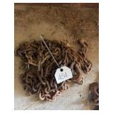(2) Log Chains w/Hooks