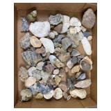 Natural Sea Shells & Raw Stones Collection