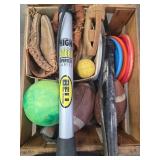 Sporting Goods Lot: Footballs, Gloves & More