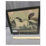 Black Frame Picture Displaying a White Horse