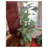 Large Potted Faux Dieffenbachia Amoena Dumb Cane S