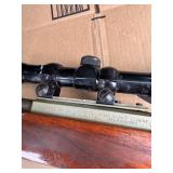 Bushnell scope on 1022 Ruger