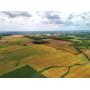 256 Acres Vacant Land Highland & Clinton counties, OH